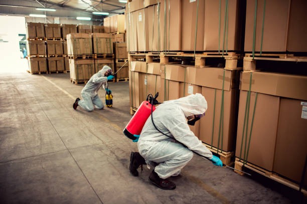 Best Pest Removal Services  in Oriska, NY