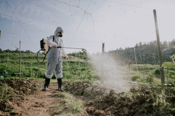 Best Affordable Pest Control Services  in Oriska, NY