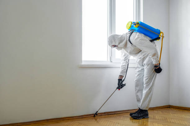 Best Best Pest Control Companies  in Oriska, NY