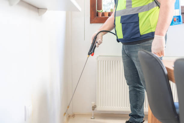 Best Termite Control Services  in Oriska, NY