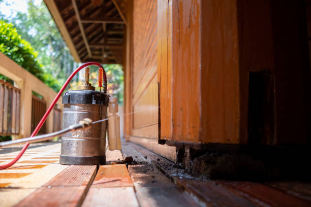 Best Mosquito Control Services  in Oriska, NY