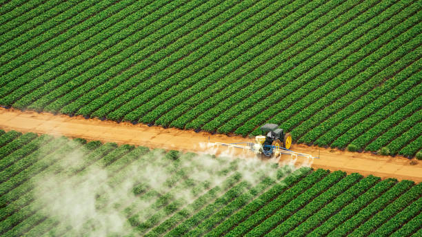 Best Pest Control Treatment  in Oriska, NY