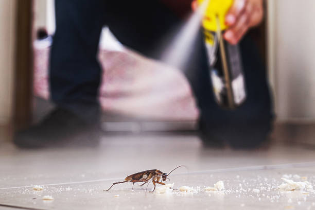 Reliable Oriskany, NY Pest Control Solutions