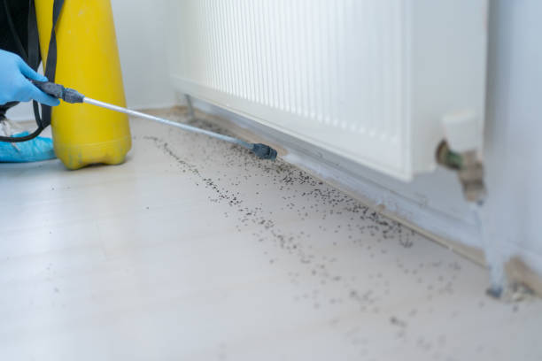 Best Residential Pest Control  in Oriska, NY